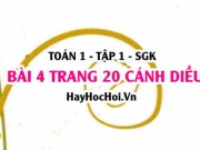 Bài 4 trang 20 Toán 12 tập 1 Cánh Diều